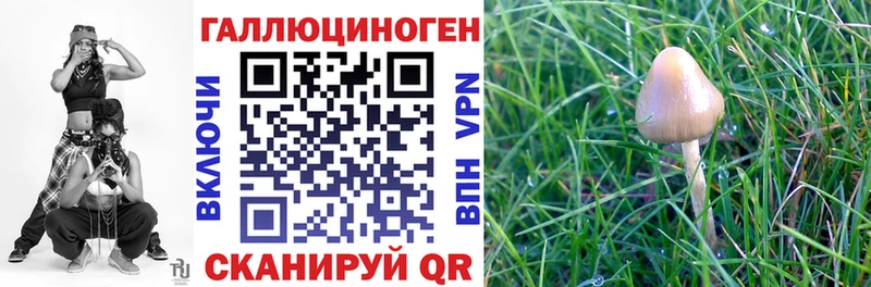 гидра ТОР  Белёв  Псилоцибиновые грибы MAGIC MUSHROOMS 